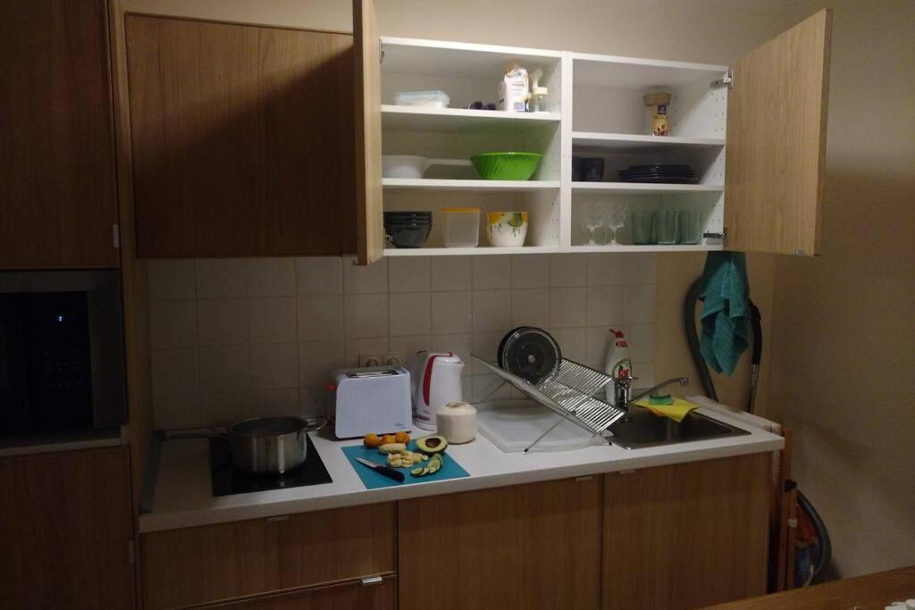 Marvelous Apartment In The Center Of Prag Exteriör bild