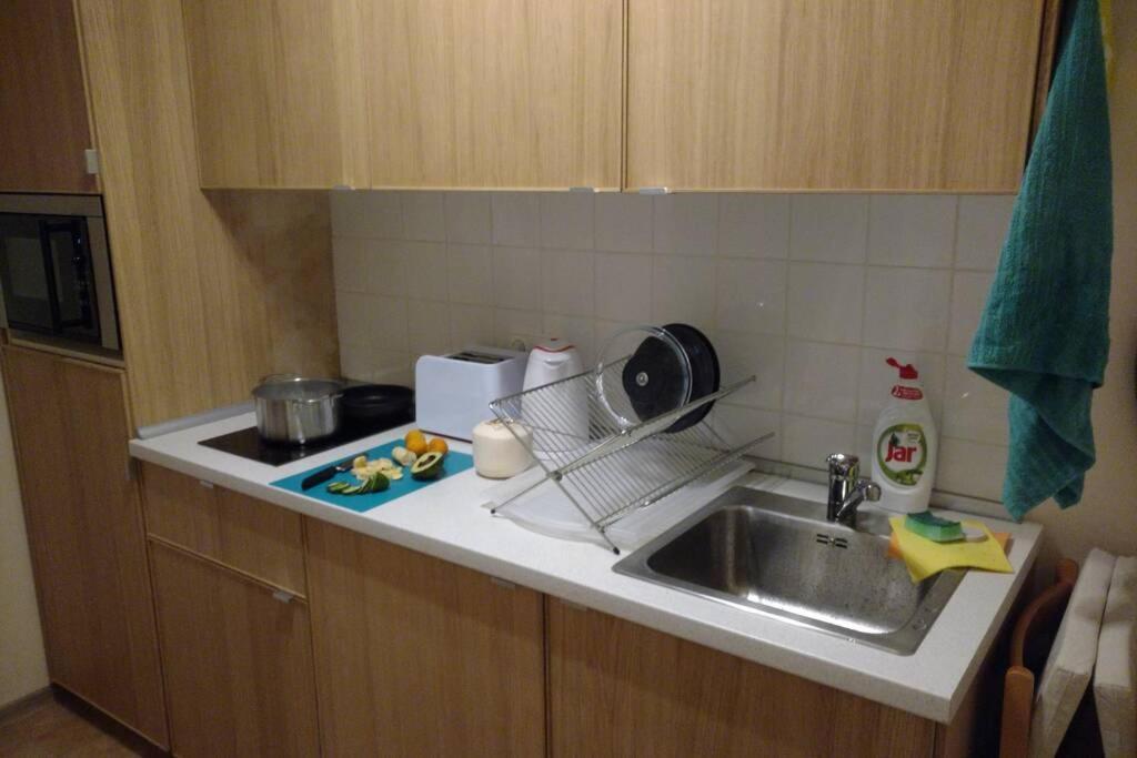 Marvelous Apartment In The Center Of Prag Exteriör bild